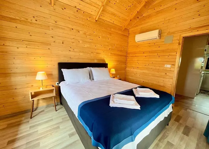 Karya Tree House دالامان